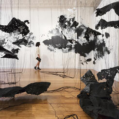 Unseen Patterns (Feb. 28, 2015, 11:41am, Chesapeake Bay- Aug. 24, 2016, 9:03 AM Georgia)