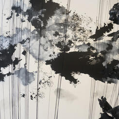 Unseen Patterns (Feb. 28, 2015, 11:41am, Chesapeake Bay- Aug. 24, 2016, 9:03 AM Georgia)