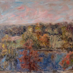 Willow Oaks Sapphire Pond