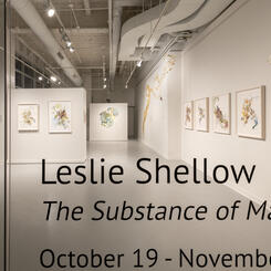 The Substance of Matter, Vis Arts Rockville, MD