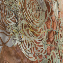 Fierce Beauty Detail 1