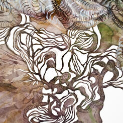 Relational Forces Detail 2