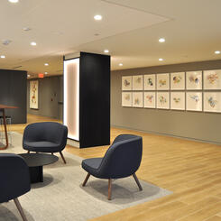 Definition of Gravity 