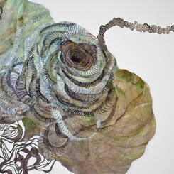 Relational Forces Detail 1