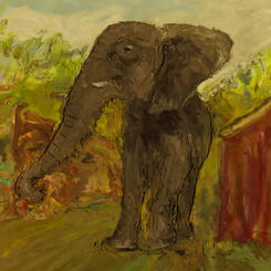 Elephant by Barn.jpg