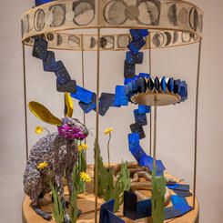 Jack Rabbet and Gopher Snake