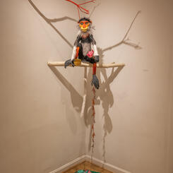 Red Shanked Douc Monkey