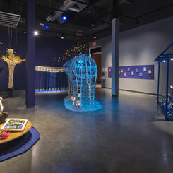 Indigo Dream(Full Installation)