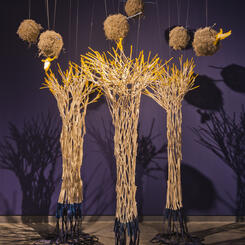 Weaver Birds and Trees