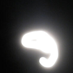 Embryo Moon