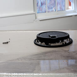 Skeleton of retail - detail (cup lid)