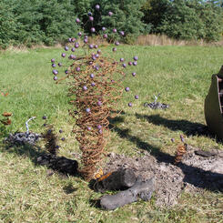 Healing Vortex: Vortex detail.jpg