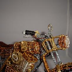 Bike of Many Nations