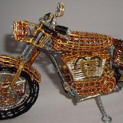 Bike of Many Nations