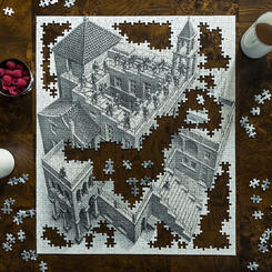 Insanity Among Catharsis with Escher