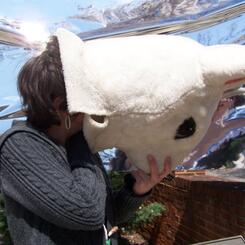 Be The White Rabbit, 2009