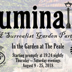 Illuminated Surrealist Garden Party, 2018