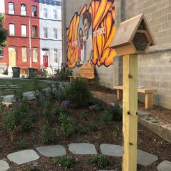Solitary bee house at center of labyrinth