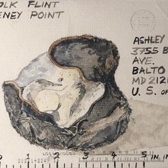 water color mail art sent from Norfolk (UK) to Baltimore (USA) (2002)