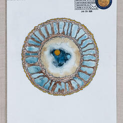 The expansion of the universe as seen through the bottom of a cup (2020)