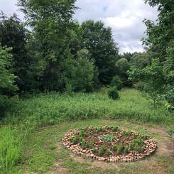 Pollinator Hexagon V