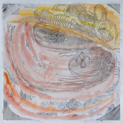 Acorn mutation (2021)