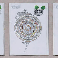 Feather mutation Triptych (2020)