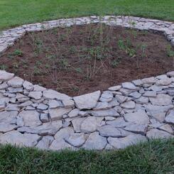 Pollinator Hexagon II