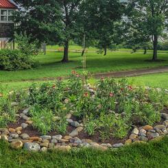 Pollinator Hexagon IV