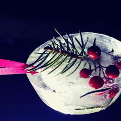 Ice ornament made by Ruth Scally