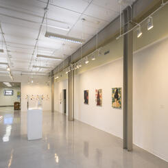 Germinal (installation view)