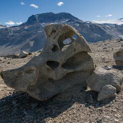 06 Glazer Bird Ventifact.jpg