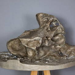 Bird Ventifact, Dry Valleys, Antarctica