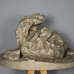 Bird Ventifact, Dry Valleys, Antarctica