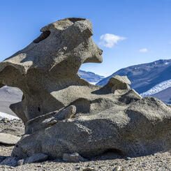 Pterodactyl Ventifact, Dry Valleys, Antarctica