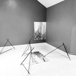 Time Lines (Projections, Extended)