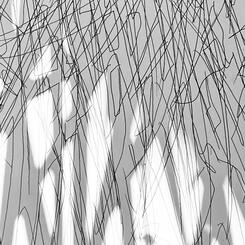 In the Garden (Shadow Happenings)