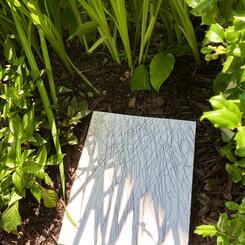 In the Garden (Shadow Happenings)