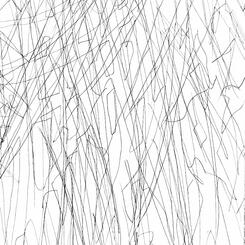 In the Garden (Shadow Happenings)