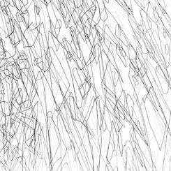 In the Garden (Shadow Happenings)