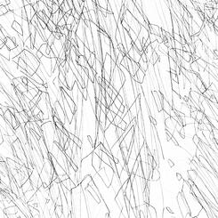 In the Garden (Shadow Happenings)