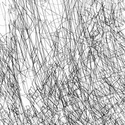 In the Garden (Shadow Happenings)