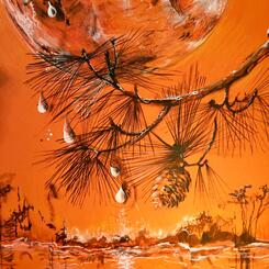 The Moon and the Loblolly