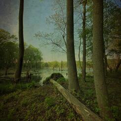 Rites of Spring, No. 3