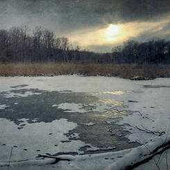 Winter Marsh