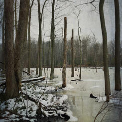 Winter Sonata, No. 1