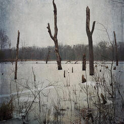 Winter Sonata, No. 2