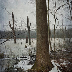 Winter Sonata, No. 3