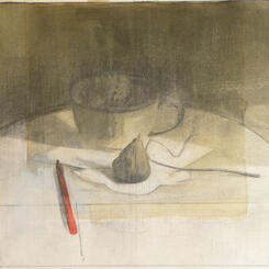 Fig, Sweetgum and Colored Pencil