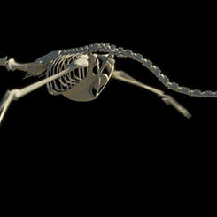 a still frame from Prehistoric Resurrection